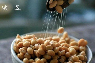 日本納豆菌什么牌子好